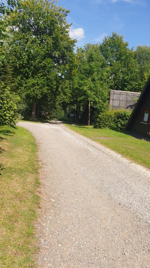 Ferienhaus Nr. 60 Im Ferienpark Am Twistesee Бад Аролзен Екстериор снимка